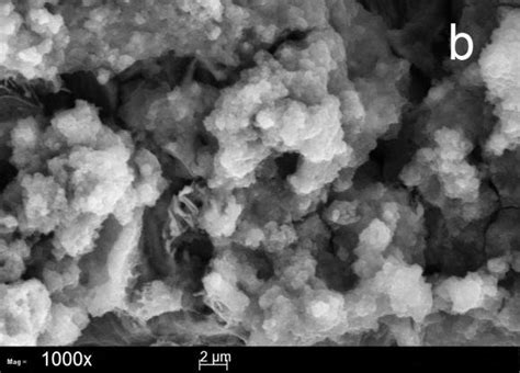 SEM Micrographs Of Mild Steel Corroded Surface Immersed In 3 5 NaCl