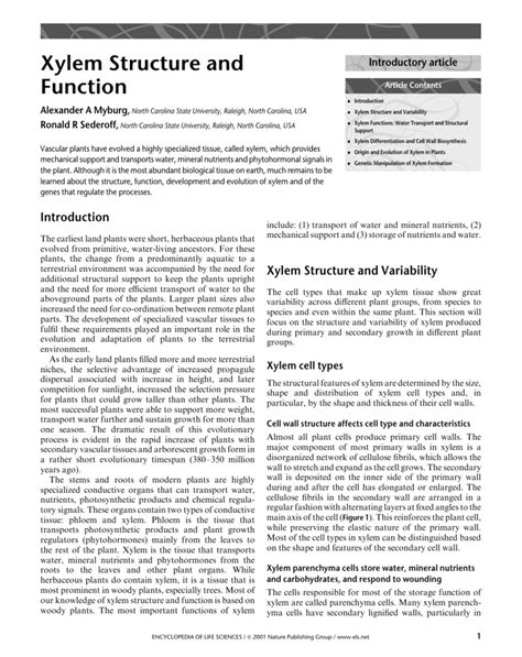 Xylem Structure and Function