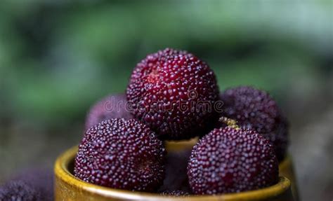 Fresh Red Bayberry And Red Bayberry Juice Stock Photo Image Of Food