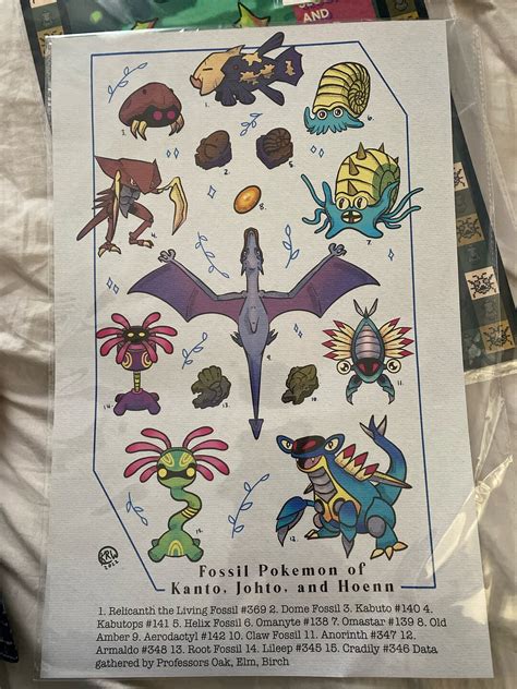 Fossil Pokémon Scientific Poster 17inx11in - Etsy