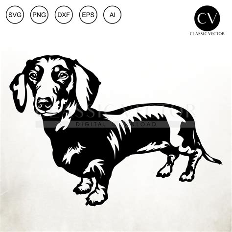 Cute Dachshund Svg Dachshund Dog Svg Doxie Svg Dachshund Laser Cut