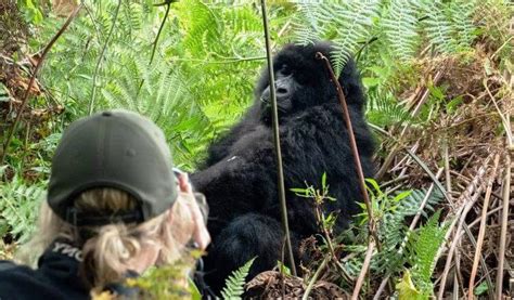 Why You Should Visit Bwindi Impenetrable National Park Flash Uganda Media