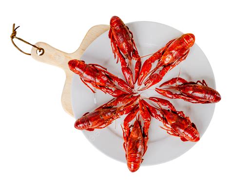 Gourmet Spicy Crayfish Food Fresh Spicy Crayfish Png Transparent