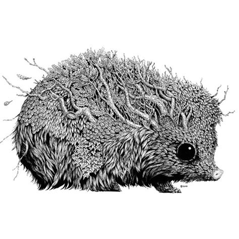 Leaf Hedgehog Lustre Print Artwork by Brett Miley - The Art of Brett Miley