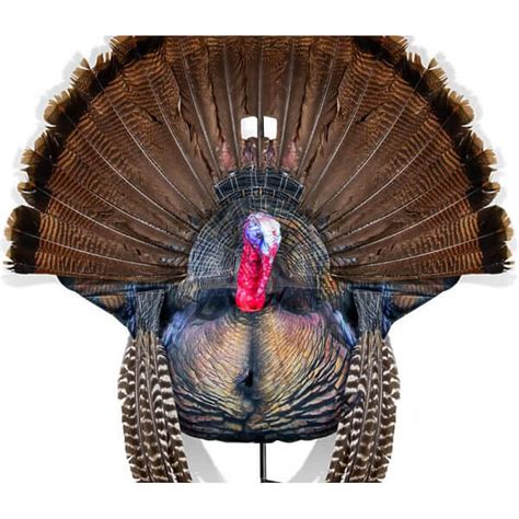 MONTANA DECOY WILEY TOM 2D STRUTTING GOBBLER TURKEY DECOY NEW