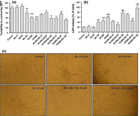 The Effect Of Silymarin On Mn Induced Toxicity In Neuro A Cells A