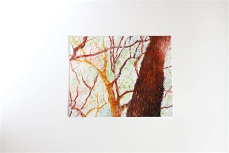 Original Oil Pastel Trees, Tree Drawing, Pastel Trees, Nature Drawing ...