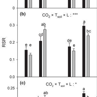 Leaf Mass Ratio A And B Of Mountain Maple Seedlings Grown At Low