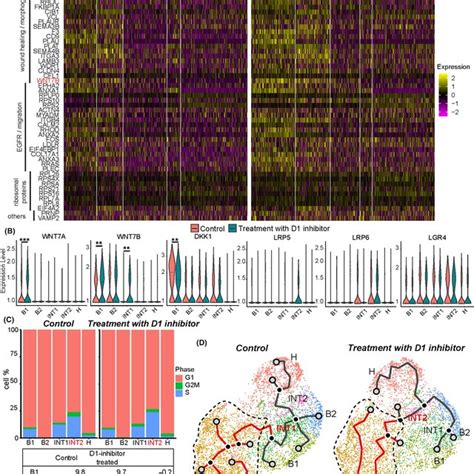 ScRNAseq Analysis Comparing Control DMSO And D1 Inhibitor SKF83566