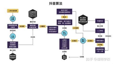 【新手系列④】抖音推送机制是什么？想做好抖音必须了解这个！ 知乎