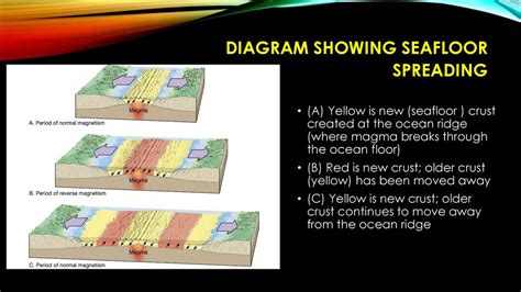 Continental Drift Seafloor Spreading And Magnetic Reversals Ppt Download