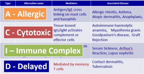 Hypersensitivity Flashcards Quizlet