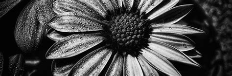 33 Amazing Examples of Monochromatic Photography | Naldz Graphics