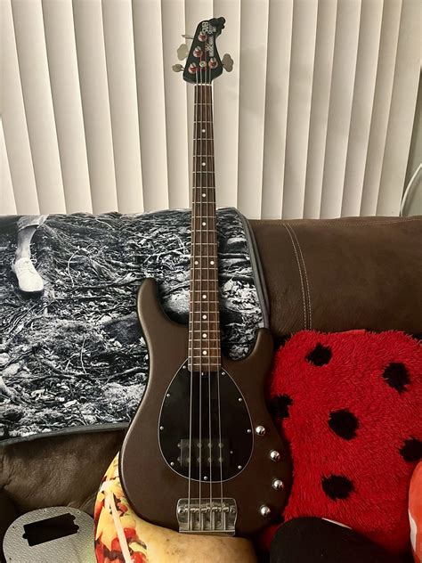 Nbd Music Man Sub Sterling Usa Bass Cinnamon R Bassguitar