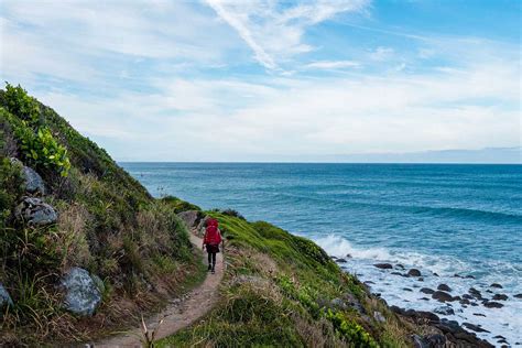 The Best Hikes In New Zealand Working Holiday Guide