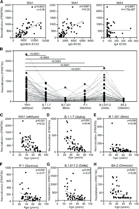 Bnt162b2 Induced Igg Mediates Age Dependent Neutralization Of Wt And