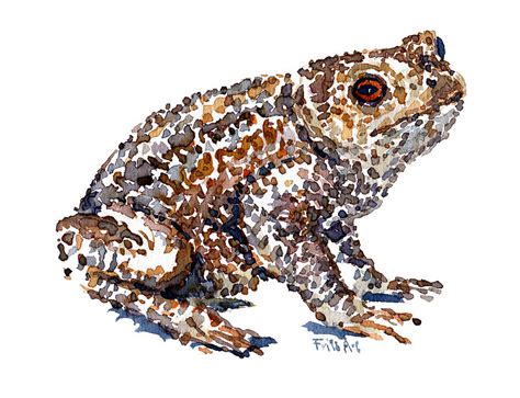 Common Toad Watercolor Painting By Frits Ahlefeldt Laurvig Fine Art