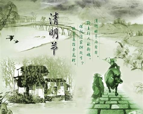 清明時節雨紛紛，路上行人慾斷魂 每日頭條