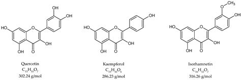 Metabolic Profile And Quantification Of Terpene Trilactones And