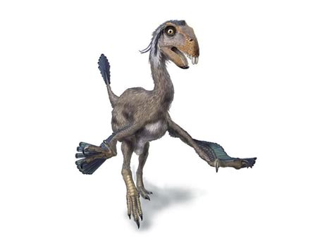 The silliest-looking dinosaurs - CNET