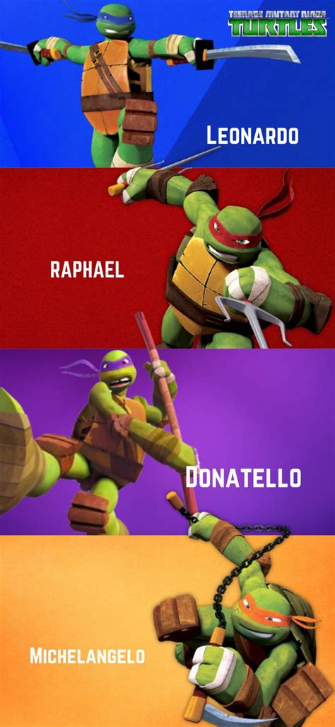 the turtles are all different colors and sizes, but each has their own name on it