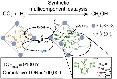 Whither Second Sphere Coordination Ccs Chem