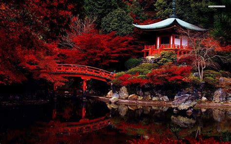 Japan Red Wallpapers - Top Free Japan Red Backgrounds - WallpaperAccess