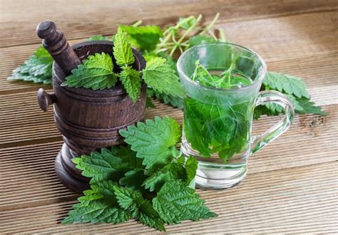 Tisana liquirizia menta e ortica ricetta e proprietà GreenStyle