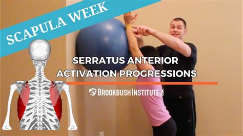 Serratus Anterior Activation Exercise Progressions YouTube