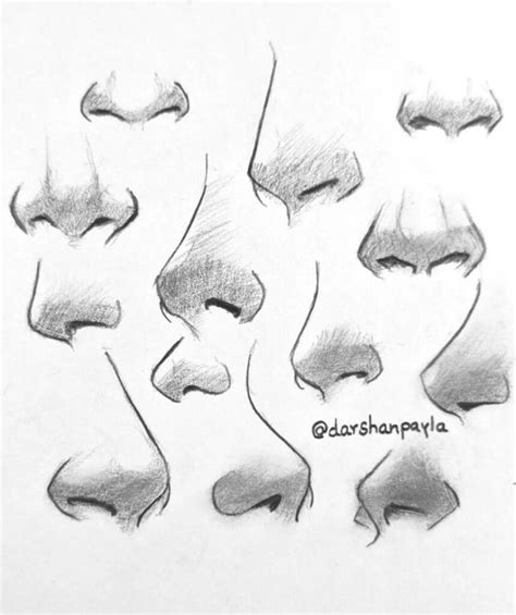 Best Nose Sketch Drawing Tutorials For Inspiration Atinydreamer