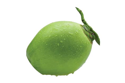 Green Coconut Png