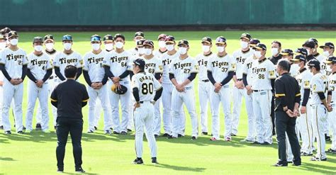 阪神秋季キャンプ 初シートノックで遊撃に小幡、左翼の井上、前川 岡田監督が熱視線阪神タイガースデイリースポーツ Online