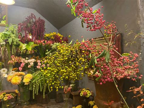 【名古屋市中区】ハイセンスなお花や植物が店内にあふれる「フラワーノリタケ」（繭子） エキスパート Yahooニュース