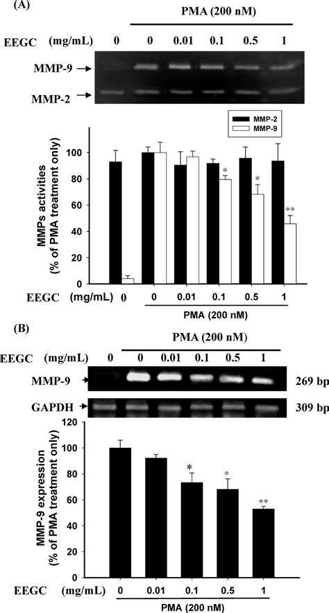 Concentration Dependent Inhibitory Effect Of The EEGC On PMAinduced