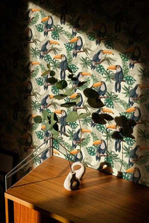 Toucan bird Peel and Stick Wallpaper or Unpasted