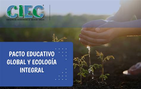 Pacto Educativo Global Y Ecología Integral Ed 236 Confederación