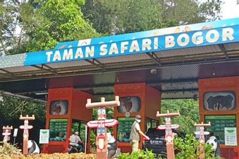 Taman Safari Bogor Meriahkan Nataru 2024 Cek Harga Tiket Promonya