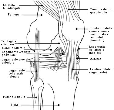 Il Ginocchio