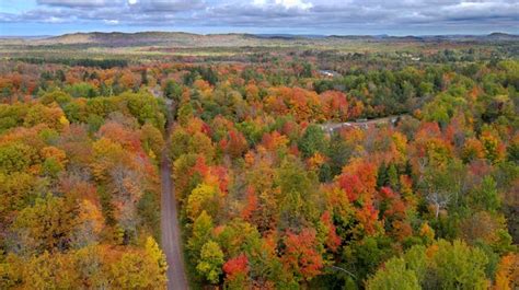 See how fall colors in northern Wisconsin are rapidly changing