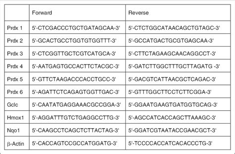 Semiquantitative Real Time Polymerase Chain Reaction Qrt Pcr Primer