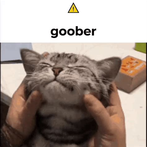 Goober Silly Goober Silly Silly Cat Discover Share GIFs