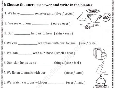 CBSE Class 1 EVS How Our Body Parts Help Assignment Worksheets For