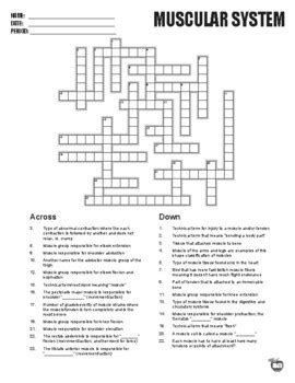 Ba Crosswords Teaching Resources Teachers Pay Teachers