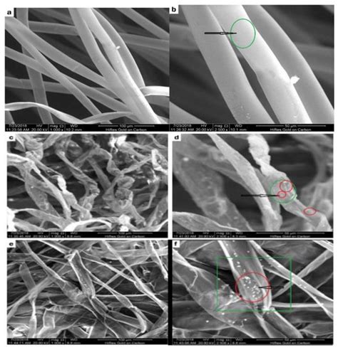 Molecules Free Full Text Biobased Kapok Fiber Nano Structure For