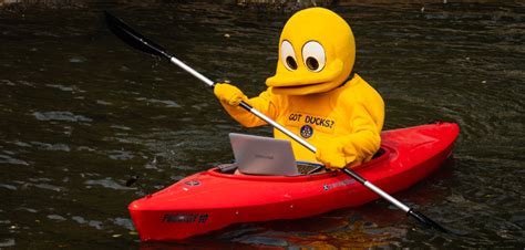 The Great Drake Park Duck Race Kicks Off June Cascade Business News