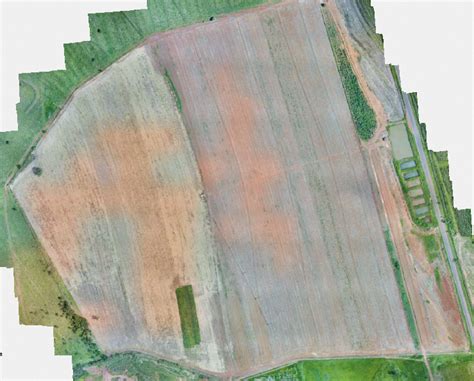 Como imagens NDVI da lavoura auxiliam na detecção das zonas de manejo