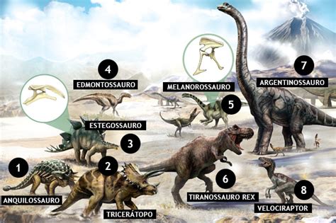 Todas As Espécies De Dinossauros - Lista De Dinossauros