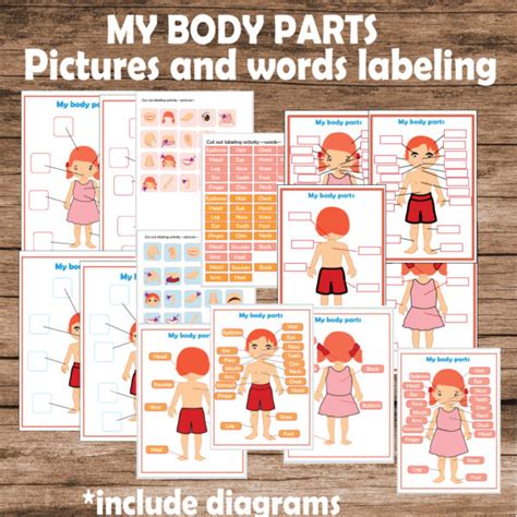 My Body Parts Human Body Parts Labelling Words And Pictures Made By