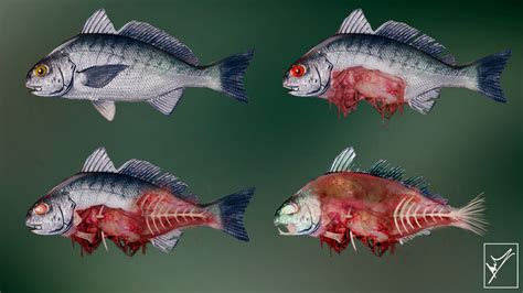 Zombie Fish Concept by ivanosh on DeviantArt