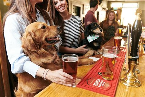 Get Paid To Go To Pubs And Determine Most Dog-Friendly One